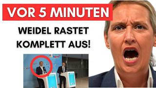 afd gibt presse statement weidel