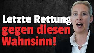 afd stoppt merz schuldenpaket vor dem