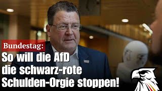bundestag so will die afd die