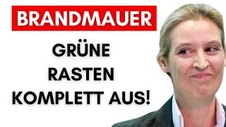 cdu reicht afd die hand bei