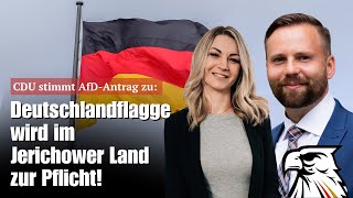cdu stimmt afd antrag zu