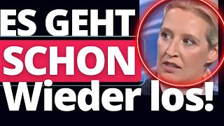 eilmeldung gruene wollen merz zum afd