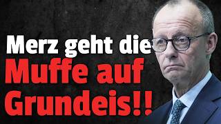 merz gibt waehlern die schuld an der