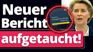 schock brisanter eu ngo skandal geht