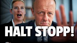 skandal enthuellt afd im bundestag