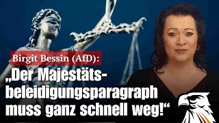 birgit bessin afd der
