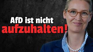 eilt umfrage schock fuer merz afd