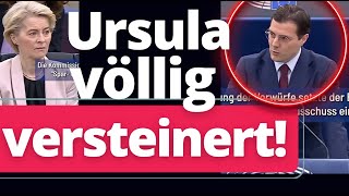genial afd mann laesst es richtig