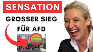 gruene scheitern mit klage gegen afd