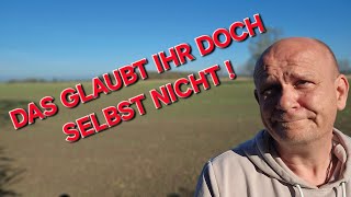 nein die ratten verlassen das sinkende