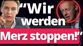 pass auf merz alice weidel laesst es
