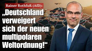 rainer rothfuss afd deutschland