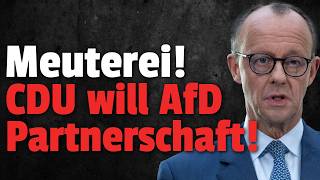 revolution in der cdu afd