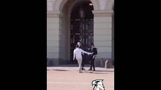 schwarzer belastigt palastwachen