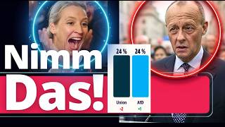 sensation afd ueberholt cdu merz