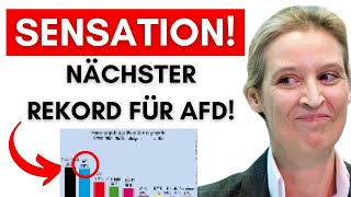 wahnsinn afd knackt neuen