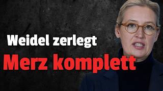 weidel zerlegt merz warum der