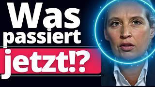 eilmeldung verfassungsschutz stuft afd