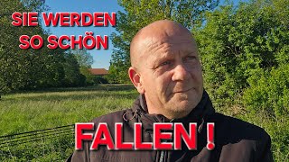 endlich ab heute koennen wir ihnen