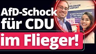 sensation in belgrad afd fliegt